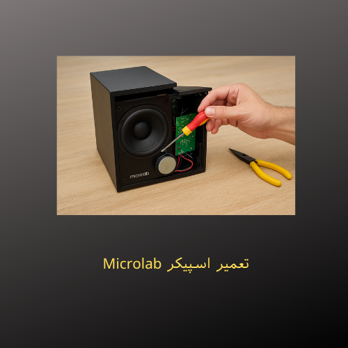 تعمیر اسپیکر Microlab